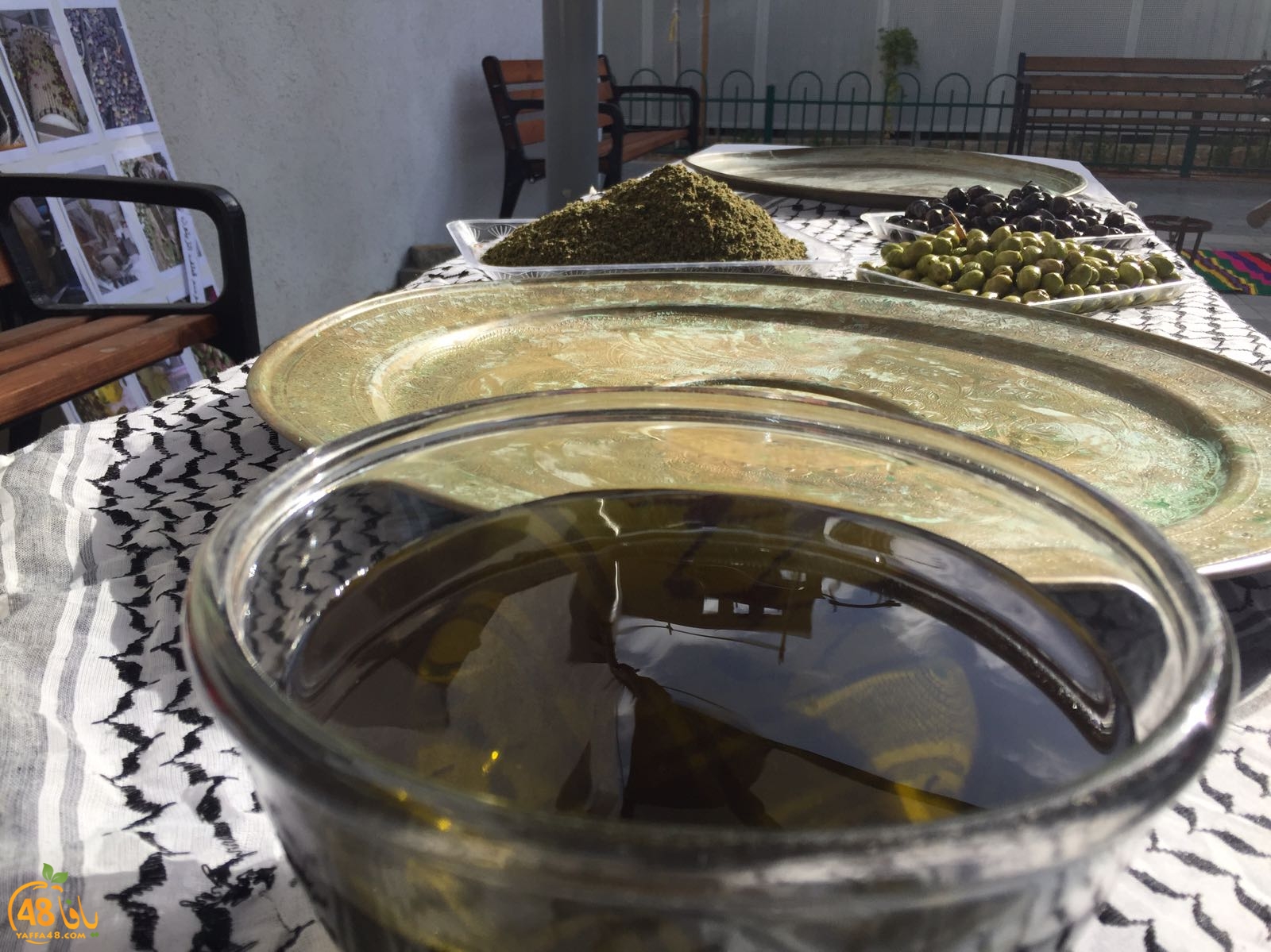 torath day yaffa mostqbal (12).jpeg